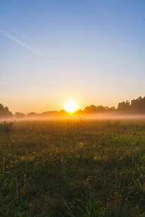 日出时分的田野美景
