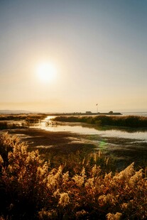 夕阳下的河畔风光