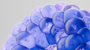 蓝色透明多边形球体组合