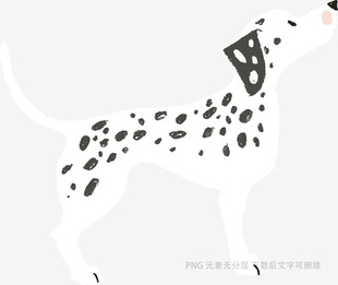 斑点狗插画