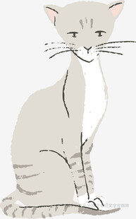 坐姿优雅的可爱猫咪