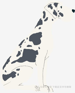 斑点狗插画