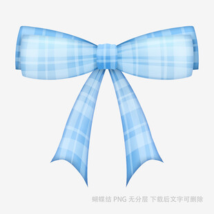 蓝色格子蝴蝶结装饰