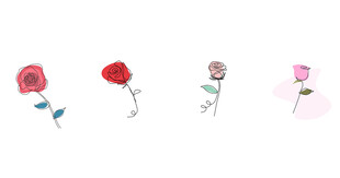 连续线条玫瑰花卉极简主义png