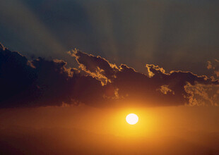 日出时分的壮丽云海景观