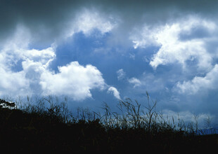 乌云下的蓝天与草地