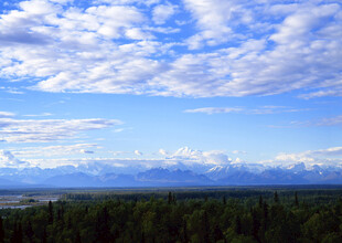 壮丽山林与远方雪山美景