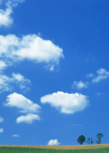 蓝天草地间的悠然白云