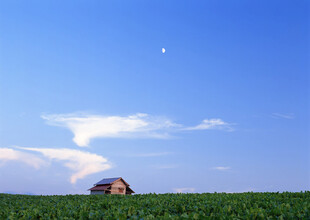 草原上的小屋与晴朗天空