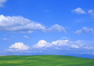 蓝天白云下的绿色原野