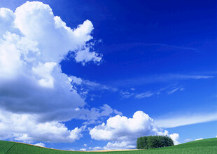 蓝天白云下的绿色原野