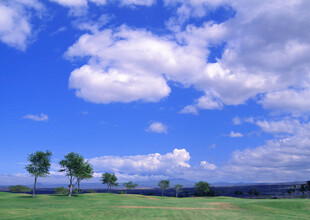 蓝天白云下的广袤绿地