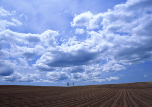 广袤田野上的蓝天白云