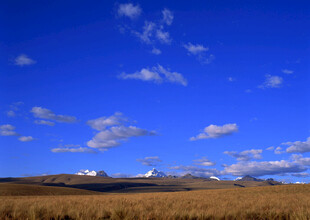 蓝天旷野间的壮丽景致
