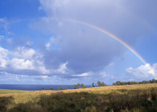 田野上空的绚丽彩虹