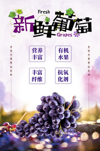 葡萄海报
