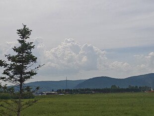北极村