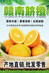 赣南脐橙新鲜上市