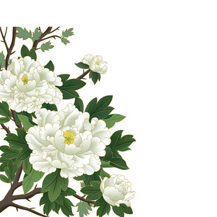 手绘花