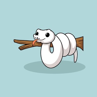 可爱白蛇衔木棍