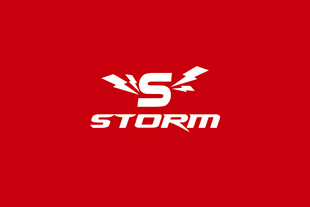 STORM标志