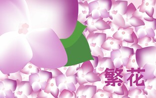 绣球花