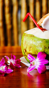 椰青饮品配娇艳兰花