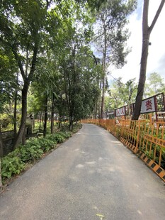 林间幽静小路