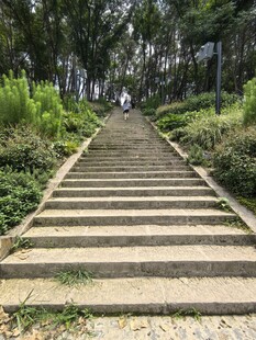 林间石阶步道