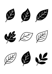叶子插画