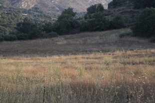 广袤原野 尽显自然之美