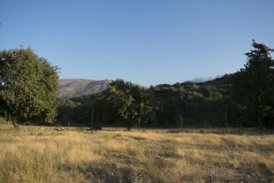 开阔草地与远处山林景色