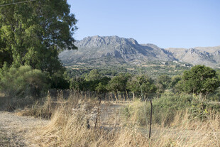 山野间的自然风景