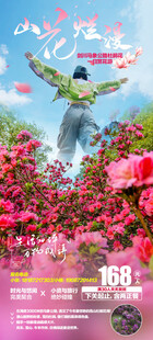 蜂鸟穿梭繁花间