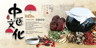 中国风中医文化展板