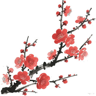 红梅绽放枝头