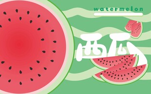 夏季西瓜矢量