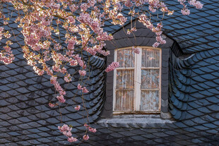 屋顶花窗