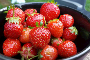 一碗新鲜诱人的红草莓