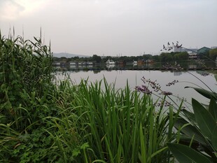 管社山庄
