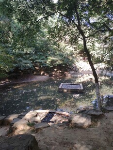 水塘