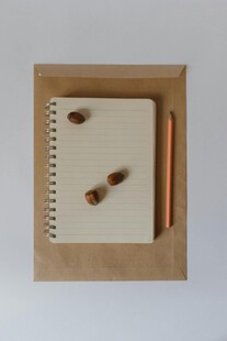 笔记本上的坚果与笔