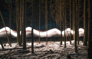 雪覆竹林景