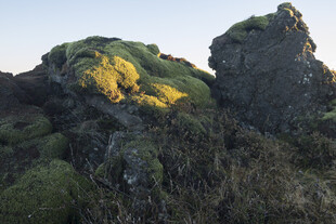阳光下的嶙峋岩石与植被