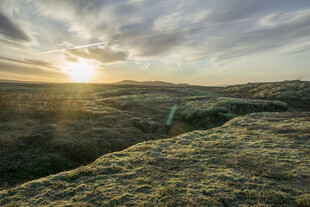 日出时分的广袤原野
