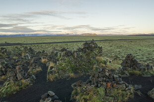 广袤原野上的繁茂植被
