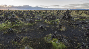 火山地貌景观 黑土绿植
