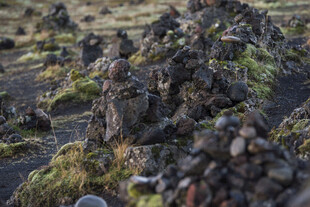 火山地貌上的苔藓覆盖岩石