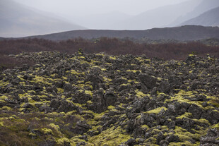 苔藓覆盖的荒凉山地景观