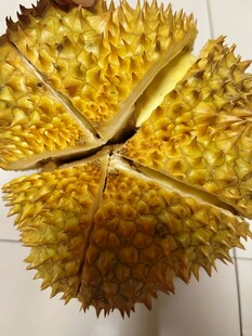 切开的榴莲果肉特写